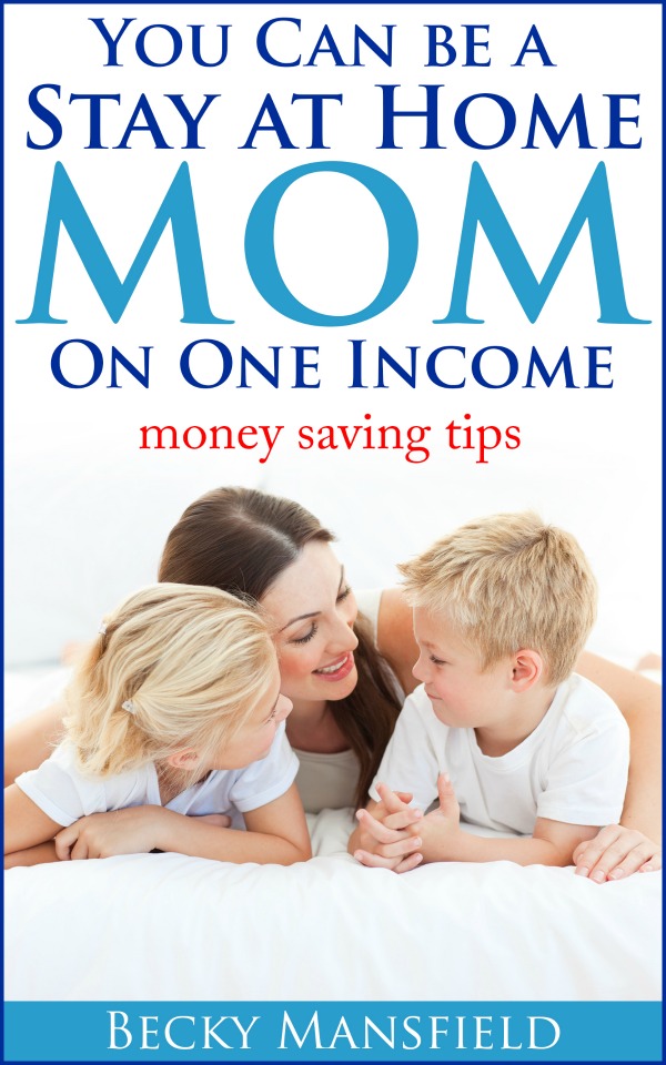 Are you a stay at home mom trying to make it work on one income? Or perhaps you want to be a SAHM? Either way - this ebook is FULL of tips and ideas to help you accomplish just that! Click through to learn more!